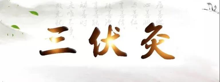 艾灸冬病夏治，春夏養(yǎng)陽(yáng)，三伏灸果真如此神奇？